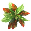 Bello Plant - Flame GreenPlant - XL plant for 3D images